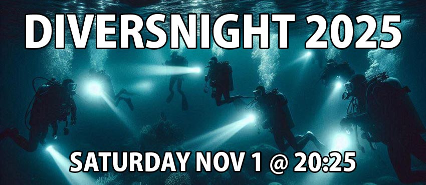 Injectbanner_1 Diversnight 2025 DESKTOP