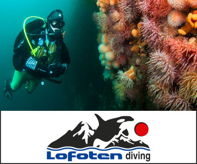 Lofoten Diving IAB 400px