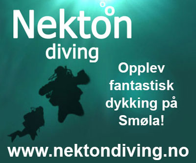 Nekton Diving IAB 400px