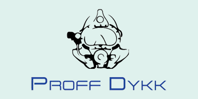 Proff Dykk AS