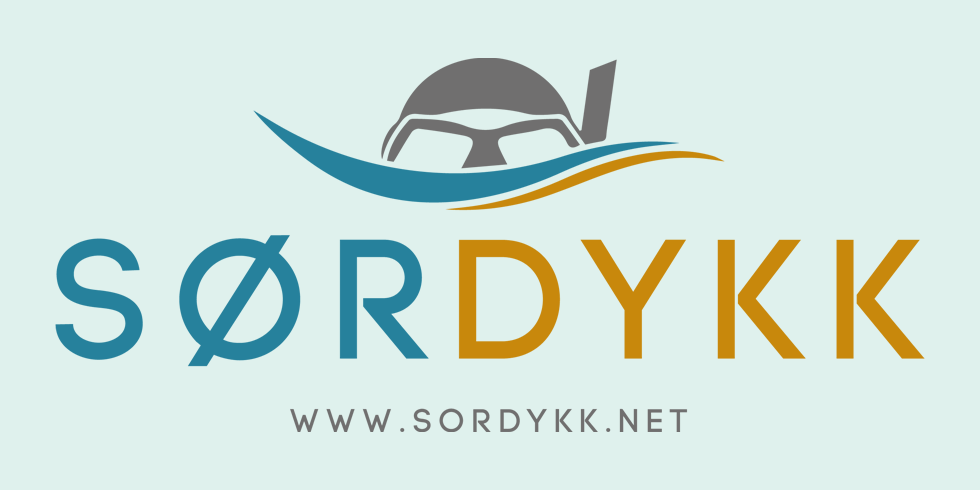 Sørdykk ANS