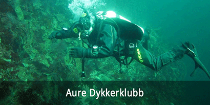 Aure Dykkerklubb