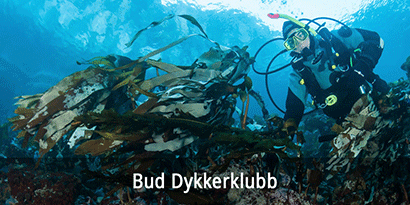 Bud Dykkerklubb