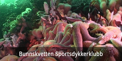 Bunnskvetten Sportsdykkerklubb