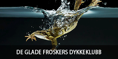 De Glade Froskers Dykkeklubb