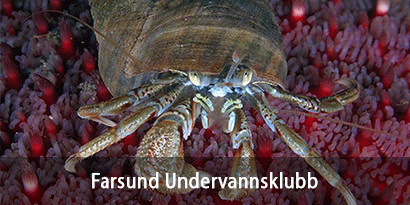 Farsund Undervannsklubb