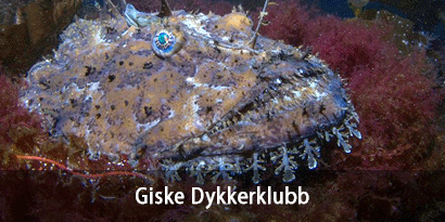 Giske Dykkerklubb