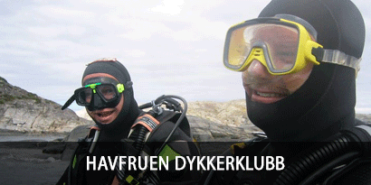 Havfruen Dykkerklubb