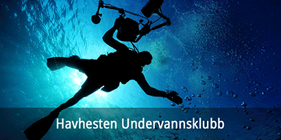 Havhesten Undervannsklubb