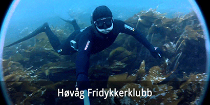 Høvåg Fridykkerklubb