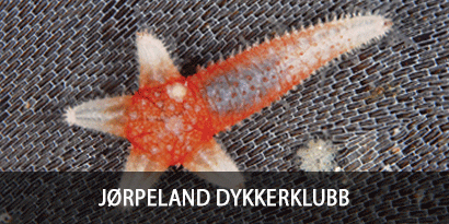 Jørpeland Dykkerklubb
