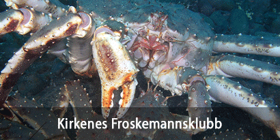 Kirkenes Froskemannsklubb