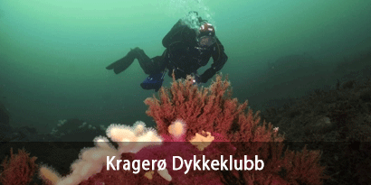 Kragerø Dykkeklubb