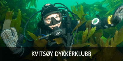Kvitsøy Dykkerklubb