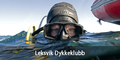 Leksvik Dykkeklubb