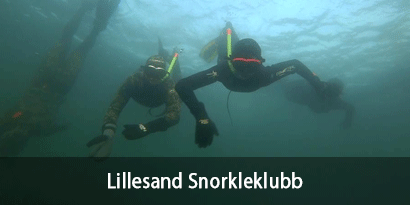 Lillesand Snorkleklubb