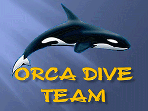 Orca Dive Team