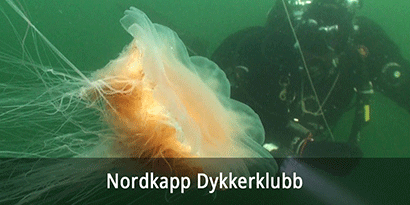 Nordkapp Dykkerklubb