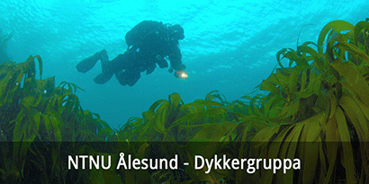 NTNU Ålesund - Dykkergruppa
