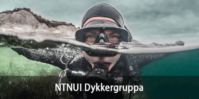 NTNUI Dykkergruppa