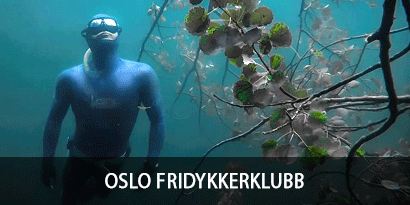 Oslo Fridykkerklubb