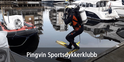 Pingvin Sportsdykkerklubb