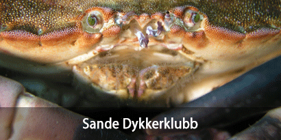 Sande Dykkerklubb