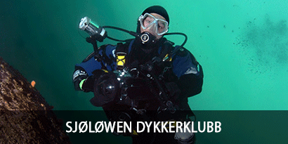 Sjøløwen Dykkerklubb