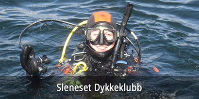 Sleneset Dykkeklubb