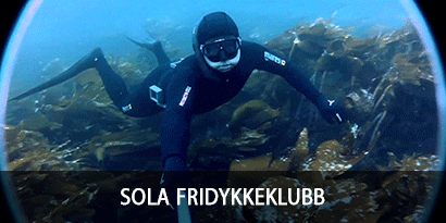 Sola Fridykkeklubb