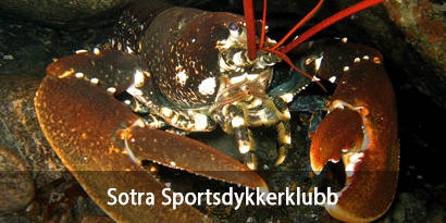 Sotra Sportsdykkerklubb