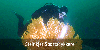 Steinkjer Sportsdykkere