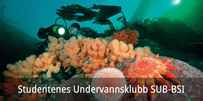 Studentenes Undervannsklubb SUB-BSI