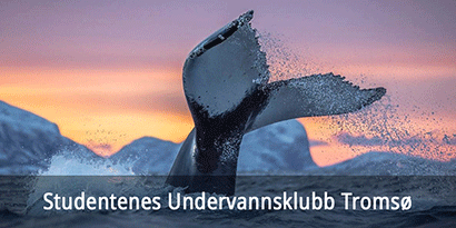 Studentenes Undervannsklubb Tromsø