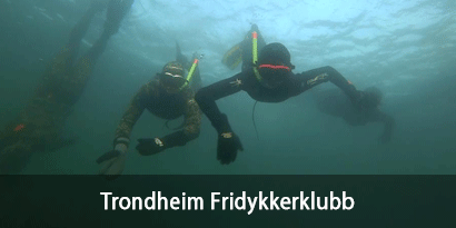 Trondheim Fridykkerklubb