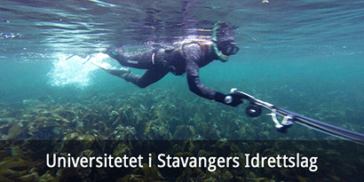 Universitetet i Stavangers Idrettslag