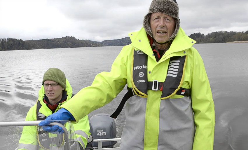 Hvorfor er det sild i Landvikvannet?