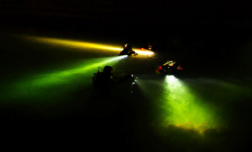 Diversnight er åpen for registrering