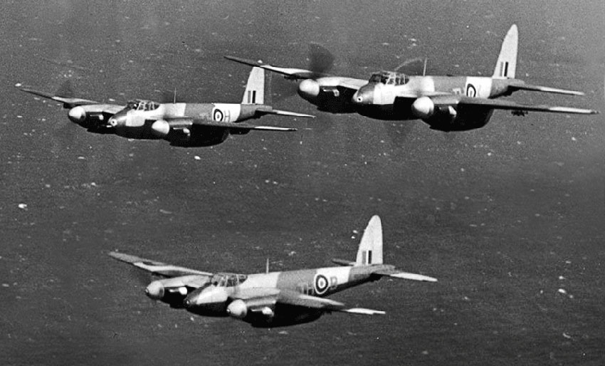 Mosquito