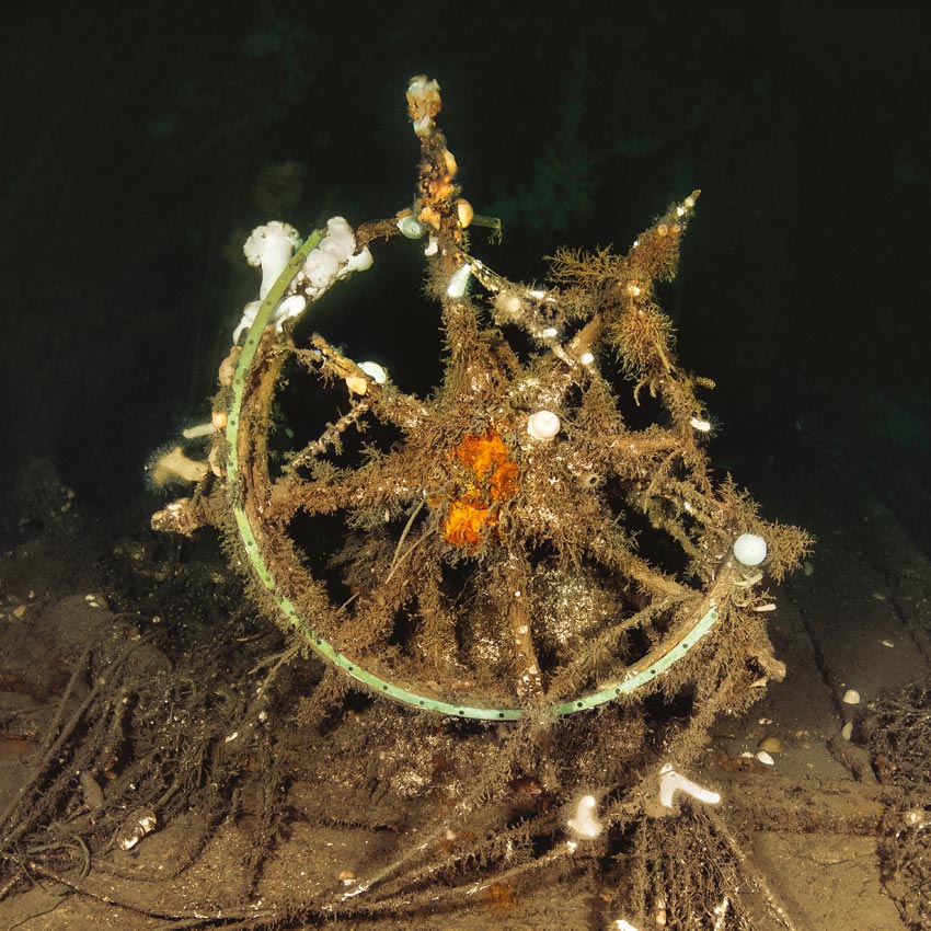 M/S Joma