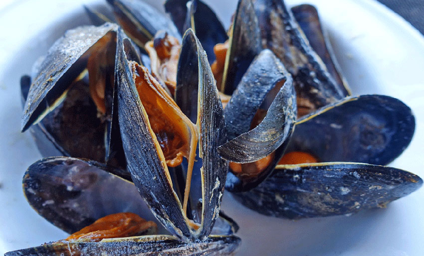 Slik oppbevarer du blåskjell