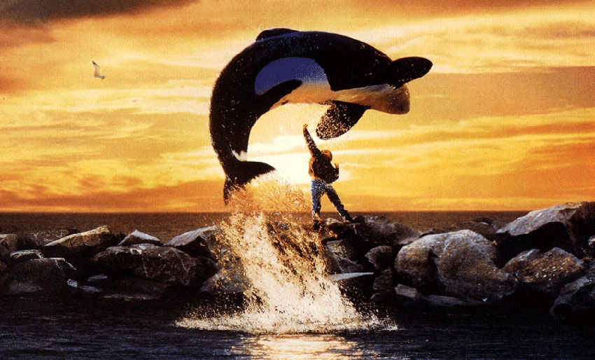 Ble Keiko begravet i Halsa – eller ikke?