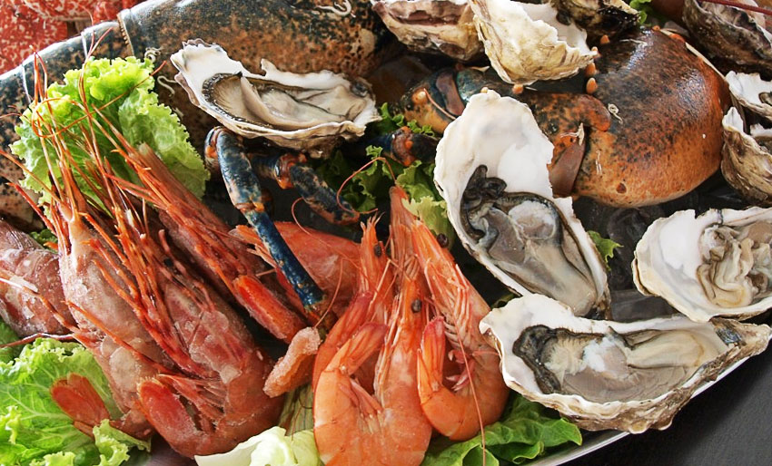 Hopp i havet på sjømatens dag