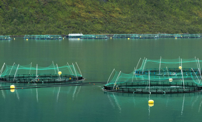 Yrkesdykker til sykehus etter ulykke
