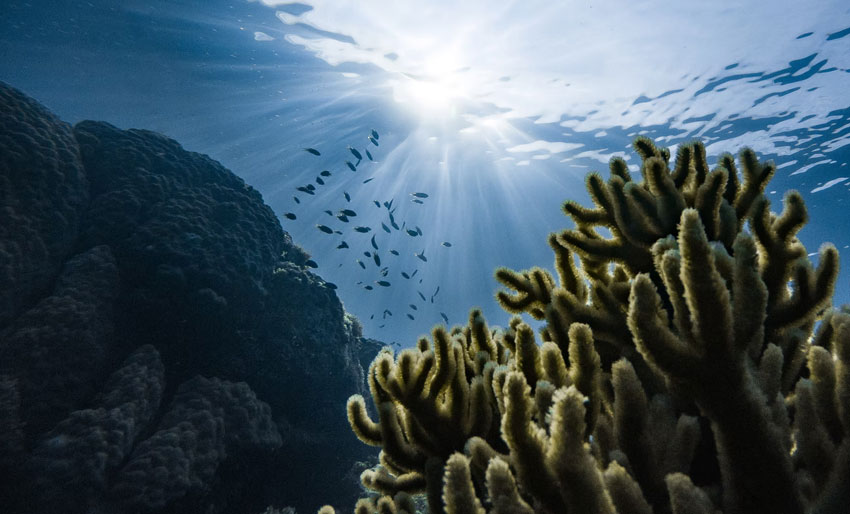 10 millioner til FNs havforskningstiår