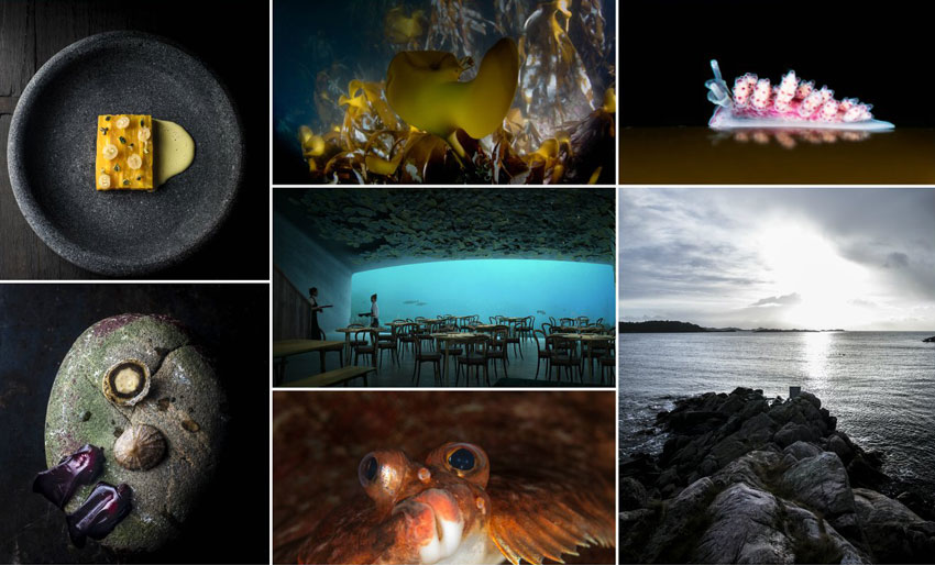 Under vil lagre levende sjømat