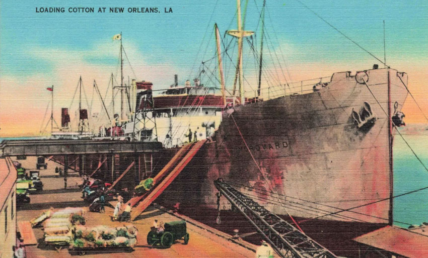 M/S Nordvard