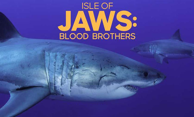 Isle of Jaws: Blood Brothers