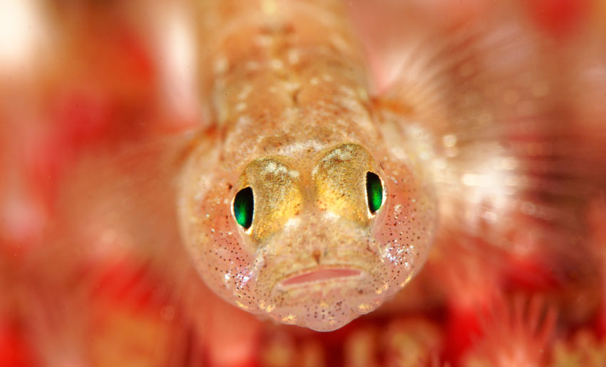 Disse var best i NM-kvaliken i fjor