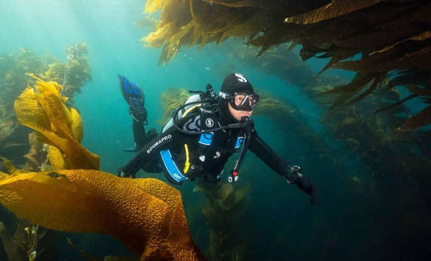 Nytt på markedet: Scubapro GO